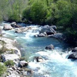 I soffi della Primavera: energia di fegato