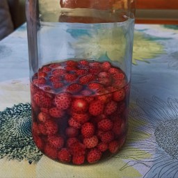 I Soffi dei frutti rossi