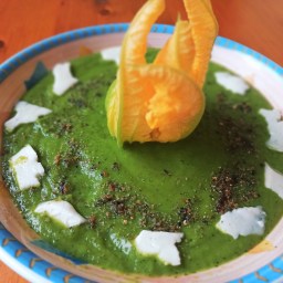 Altre regole d’Oro a Cena