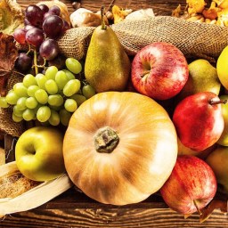 Alimentazione energetica in Autunno