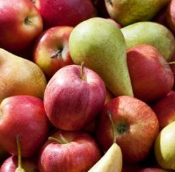 Frutta di stagione: Metallo